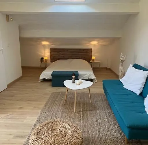 Spacieux Studio 2 A 3 Personnes Avec Parking Au Pied Du Ventoux Km Zero